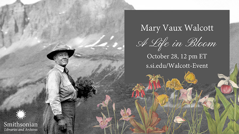 Graphic for Mary Vaux Walcott: A Life in Bloom