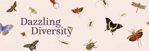 An array of butterflies and insects